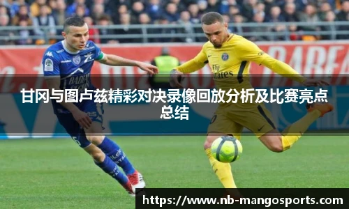 甘冈与图卢兹精彩对决录像回放分析及比赛亮点总结