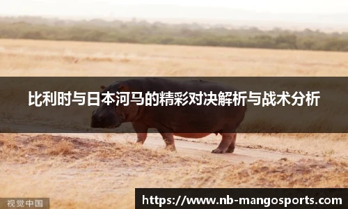 比利时与日本河马的精彩对决解析与战术分析