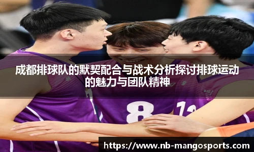 成都排球队的默契配合与战术分析探讨排球运动的魅力与团队精神